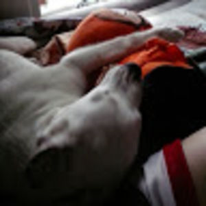 Meet your Posher, Corie